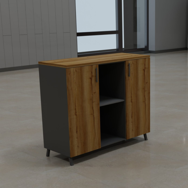 Aira Series Double Door Storage Cabinet